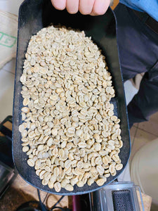 Green Bean Coffee Roasting Copenhagen